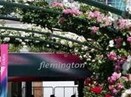 Flemington Racecourse Market