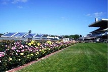 Flemington Racecourse Market