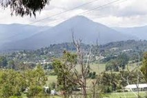 healesville racecourse harvest & craft market