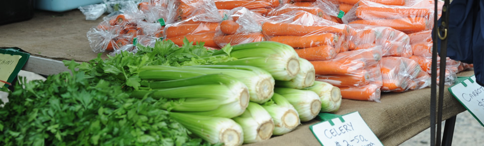 A Day Out at Lardner Park Market