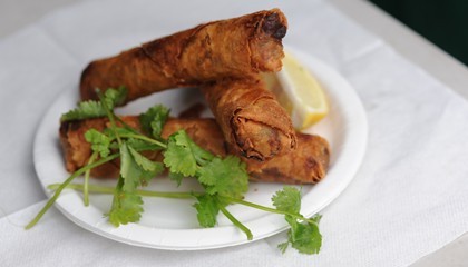 Gourmet dim sims