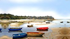 AUSPICS - Images & Photos on Canvas