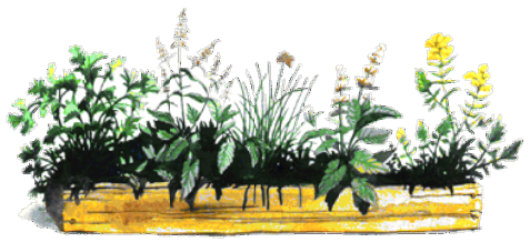 Herbs of Joy Logo