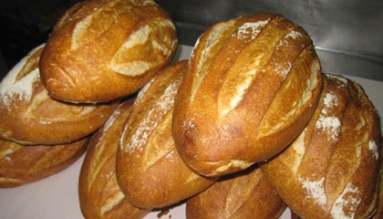 Bread Loaves