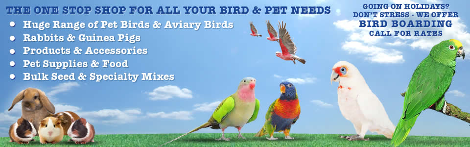 Welcome to Nunawading Birds - Nunawading - (03) 9874 3394