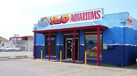 About H2O Aquariums
